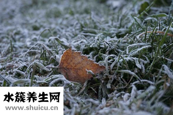 唐靈效果怎么樣