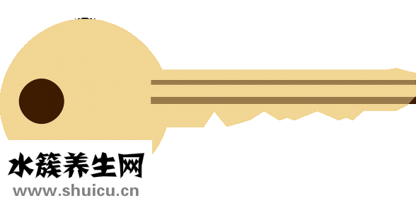 一直播主播提成多少