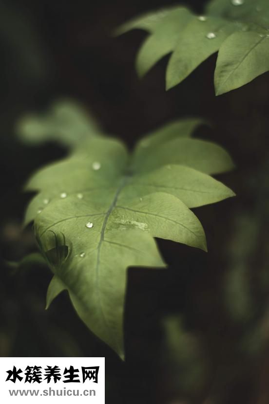 怎么樣頭發(fā)會好起來