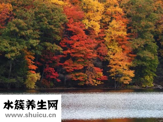 冬季皮膚瘙癢怎么辦