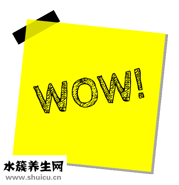 可婷打蠟膏怎么樣