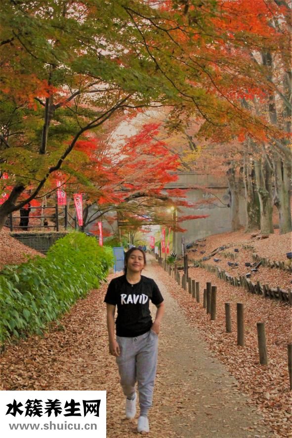 用什么方法減肥