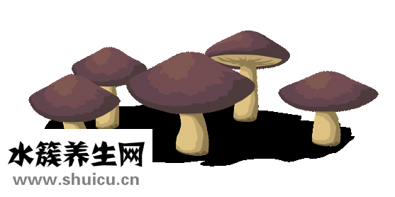 君臣口腔怎么樣