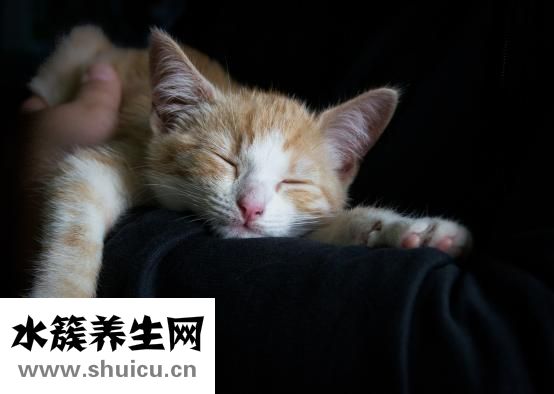 紅血絲怎么修復