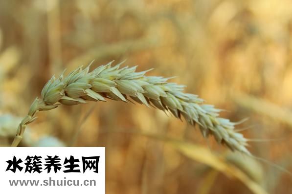 立春是什么時(shí)候