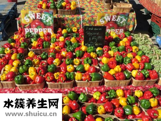 樂為圍巾怎么樣