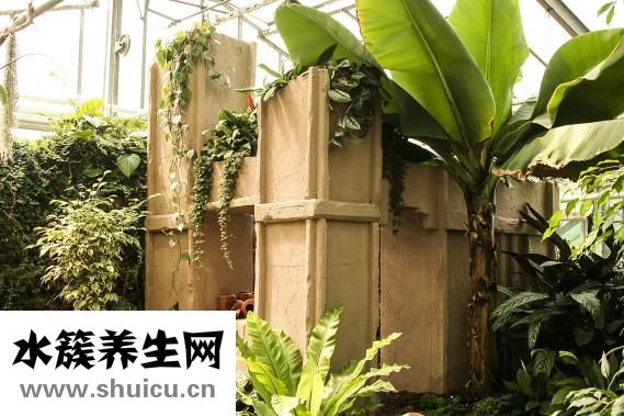 瑞士皇家唇膏怎么樣