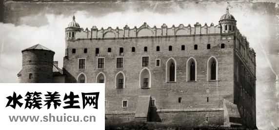 丹戈迪亞男裝怎么樣