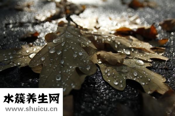 體溫計碎了怎么辦