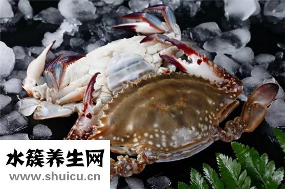 梭子蟹怎么洗