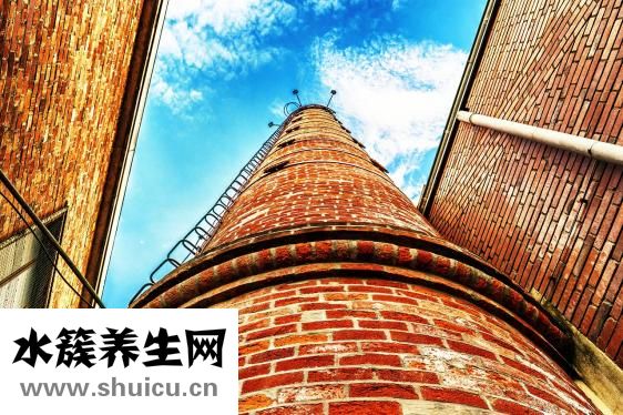 威蘭德全瓷牙怎么樣