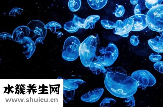 怎么樣思考人生