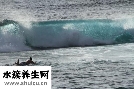怎么樣把胳膊變細