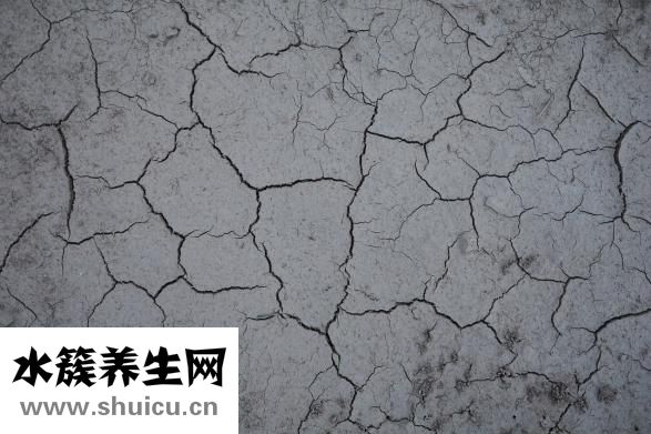 冠周炎吃什么藥