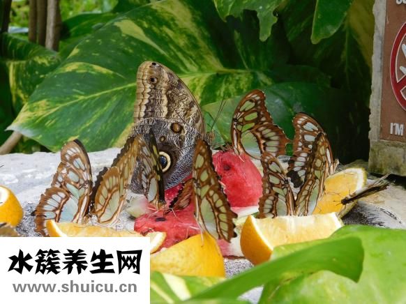 胃疼吃什么食物好