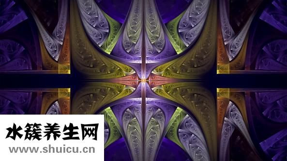 威蘭德全瓷牙怎么樣