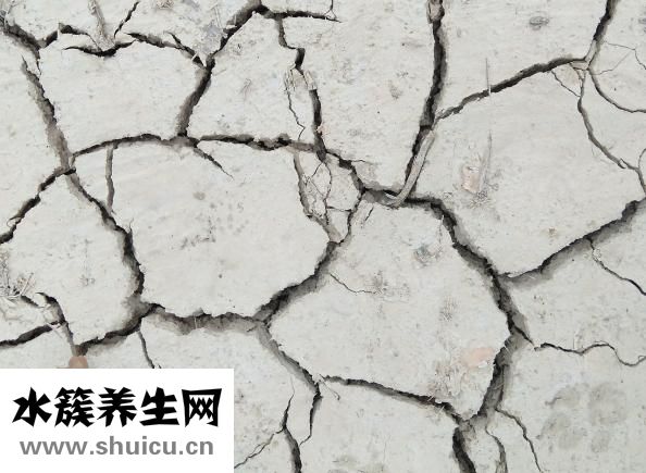 冠周炎吃什么藥