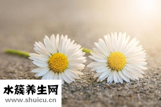 非誠勿擾楊凱怎么樣