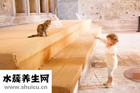 晚上睡覺失眠怎么辦