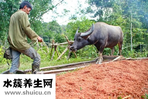 康貝的濕巾怎么樣