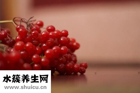 得了牛皮癬怎么辦