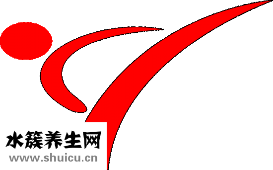 如何健康快速減肥