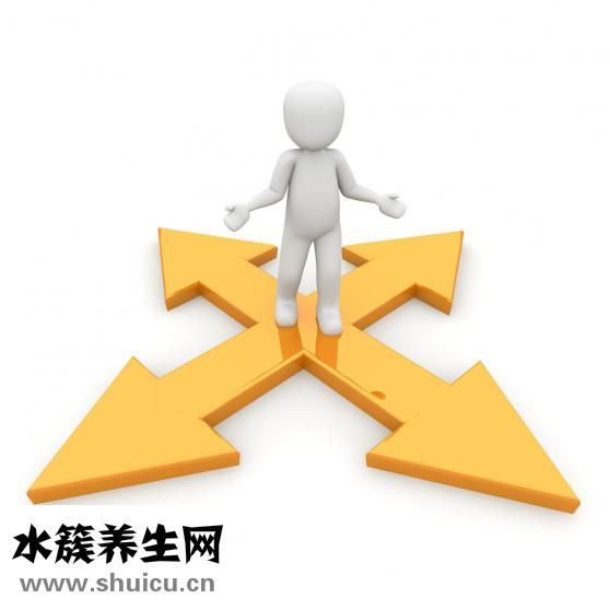 發展方向怎么寫