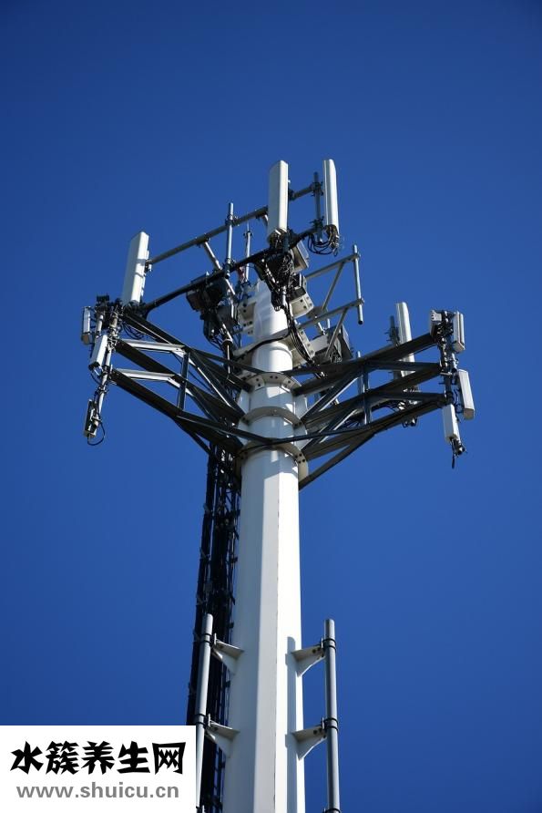 十萬個為什么內容