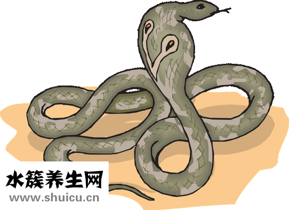 毒蜂中端怎么樣