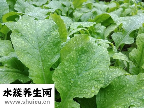 孕婦怎么保養(yǎng)皮膚