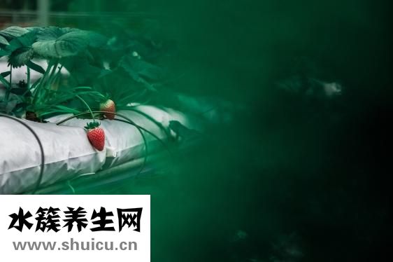 如何端正學習態度