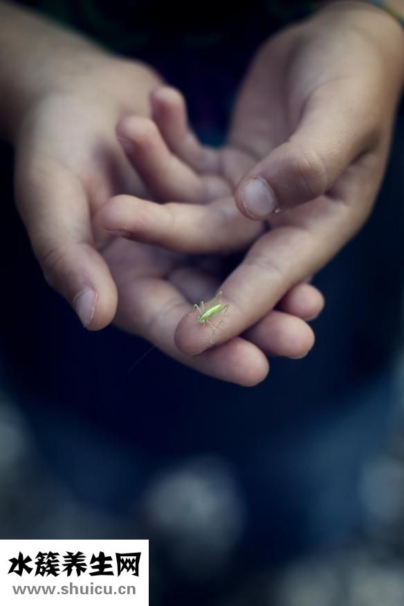 松拓本源怎么樣