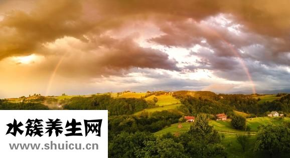 怎么樣可以減肥啊