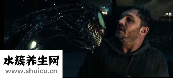 毒蜂中端怎么樣