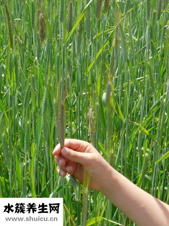 十一適合去哪里旅游