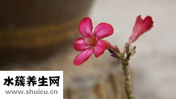 怎么樣才能防止懷孕