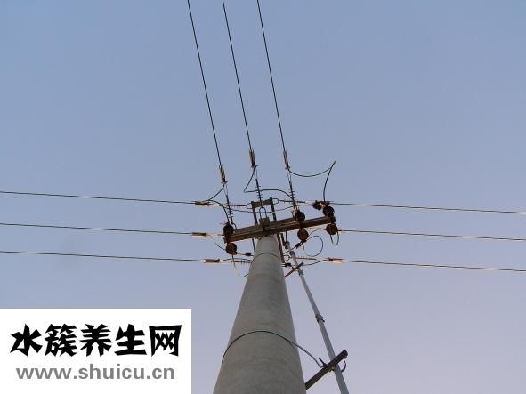 十萬個為什么內容