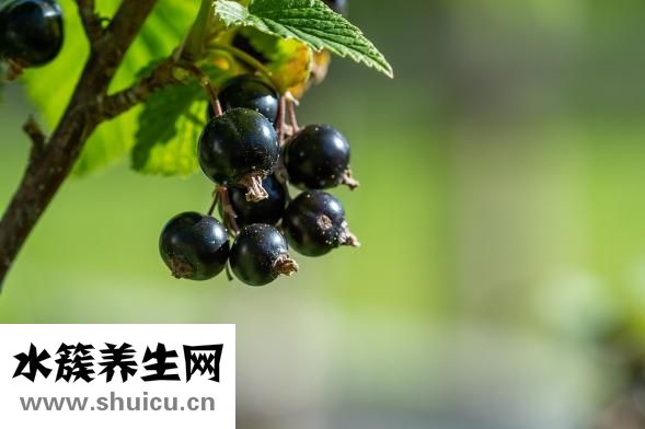 綠傘彩漂怎么樣