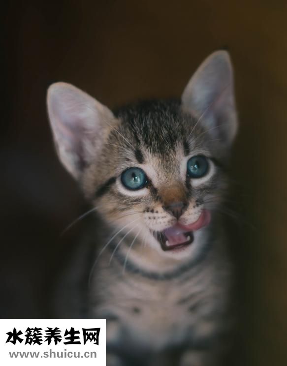 負離子造型梳怎么樣