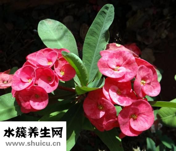 寶寶拉稀怎么回事