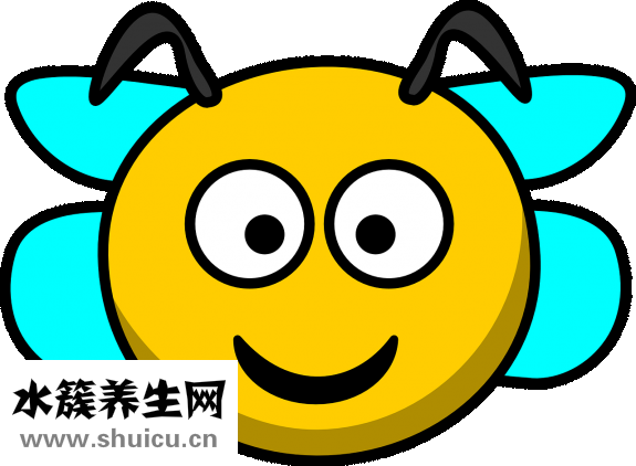 丹尼熊包怎么樣