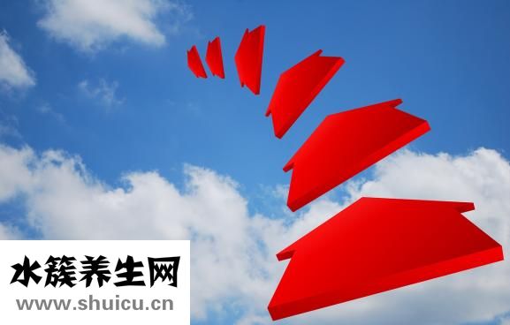 怎么樣包三角棕