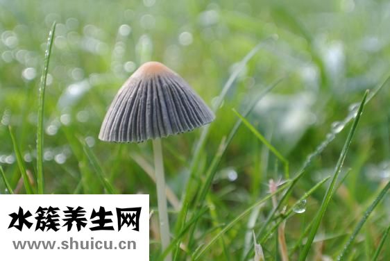 康愛(ài)多大藥房怎么樣