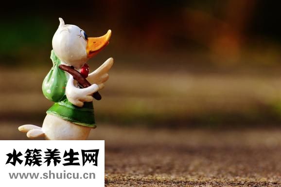 張裕三鞭酒怎么樣