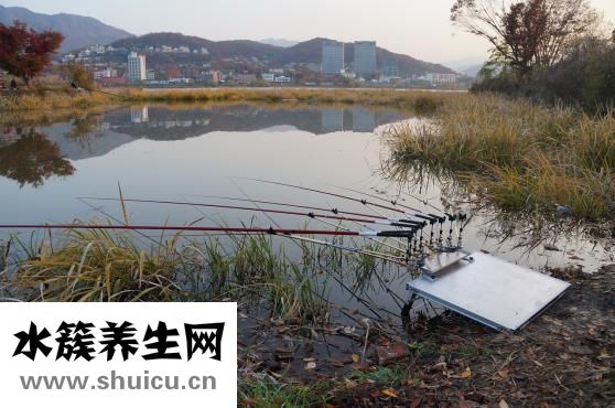 孕婦消化不良吃什么