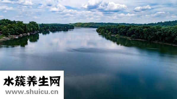 中江丹參茶怎么樣