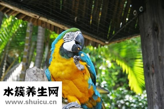 安溪女孩子怎么樣