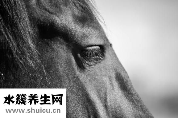 噯呵護臀膏怎么樣