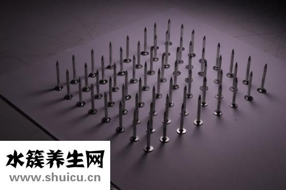 法蘭茜絲怎么樣