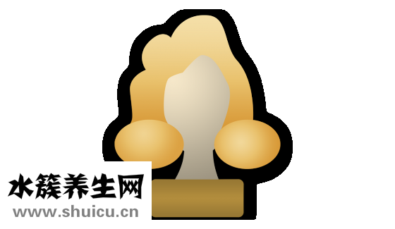 壓力大掉頭發怎么辦